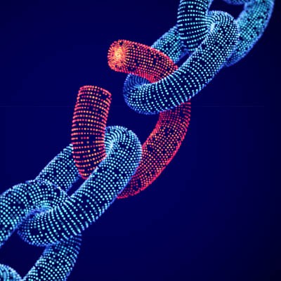 Close the Digital Security Gaps That Can Sink Your Business